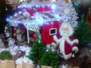 visite du marcher de noel