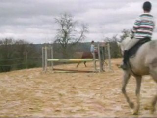 Cour de dressage ( version très raccourcie )