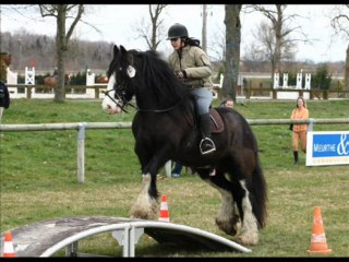 3 ans avec mon Willou