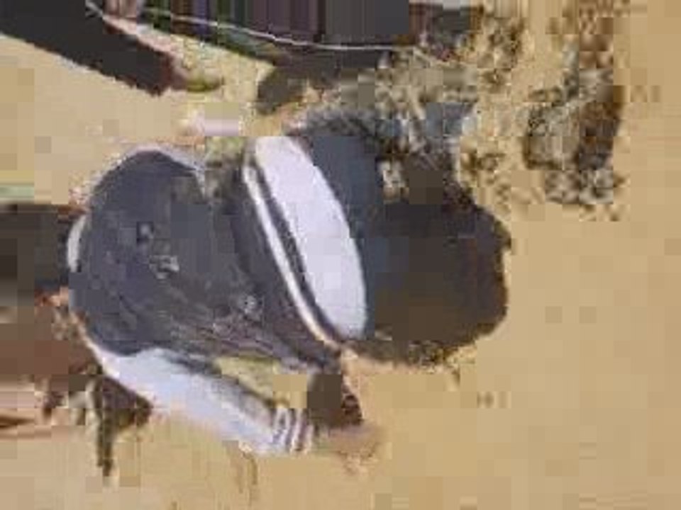 a la plage en voyage avk polo é adrien