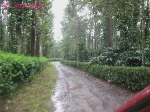 Road Views Coorg part2