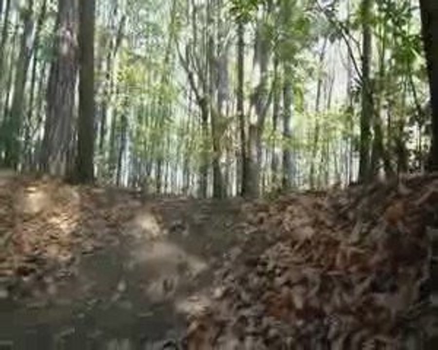 Glc-dirt: We ride