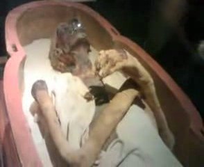 ‫ فرعون الذي حارب موسى عليه السلام‬‎+ عدم مشاهدة الأطفال