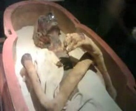 ‫ فرعون الذي حارب موسى عليه السلام‬‎+ عدم مشاهدة الأطفال