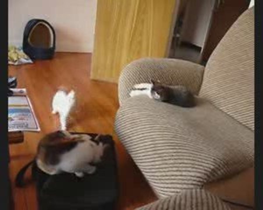 jeuchaton