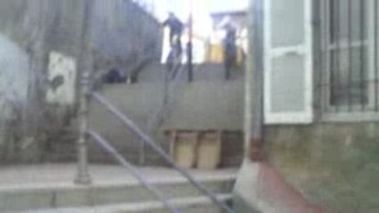 zozo + thomas chute