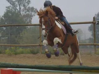 concours  d'entrainement cso  à la pension