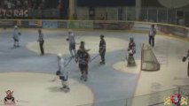 Hockey pro - Scorpions Mulhouse vs Vipers Montpellier