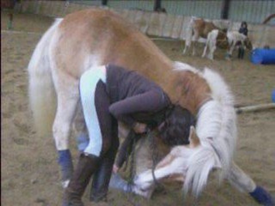 1ère démo (1er Nov.)