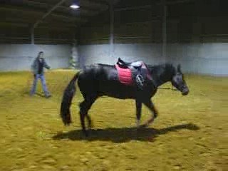 ulys longe 2