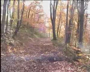 Les charlots de l'enduro 2