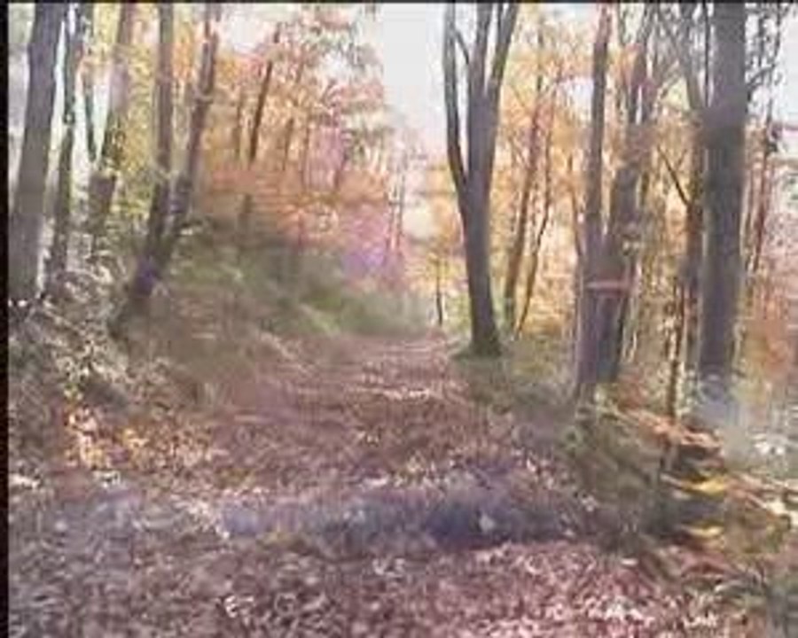 Les charlots de l'enduro 2