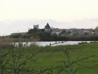 Fouras, ses marais