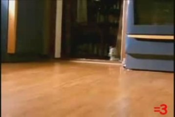 Cutest six seconds evar!