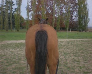 Dimanche 1 Novembre 2009