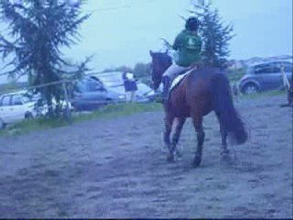 montage 1