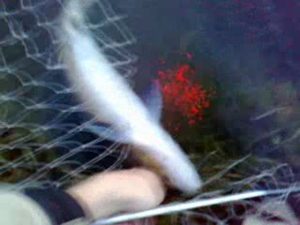 Release