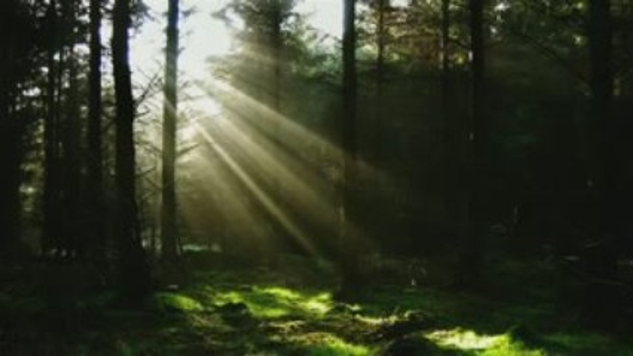 Urban Astronauts - See The Sun (Aurosonic Remix)