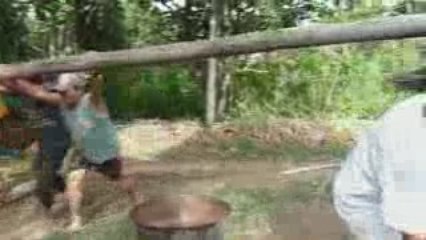 moulin canne a sucre