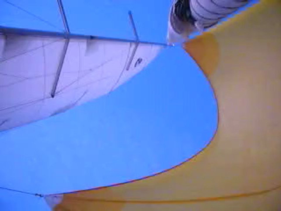 p'ti matin solitaire