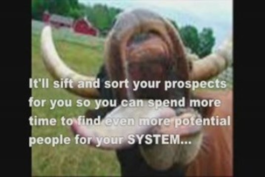 What Are The Top Network Marketing Companies Part 1