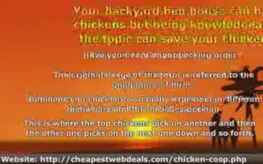 Mixing Different Breeds - Backyard Hen House