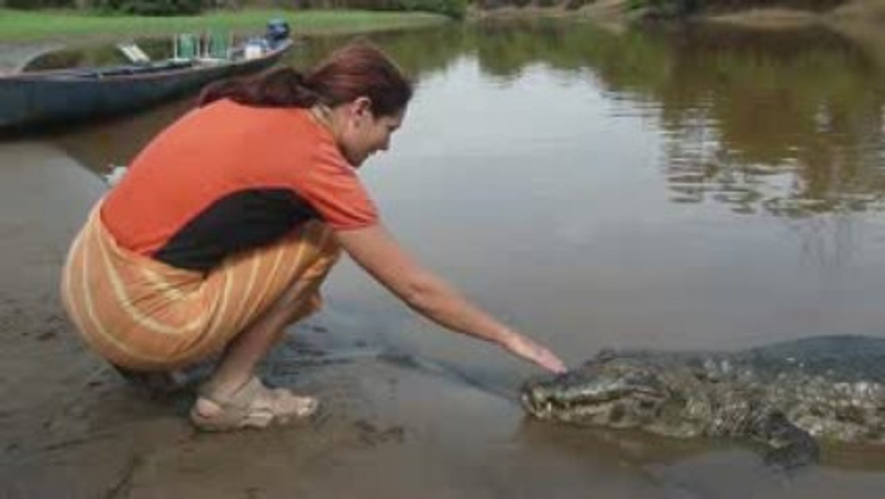 céline et le croco