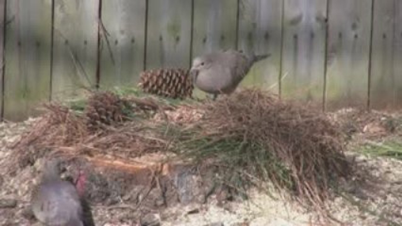 Prisons or Schools: Our choice for our children