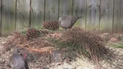 Prisons or Schools: Our choice for our children