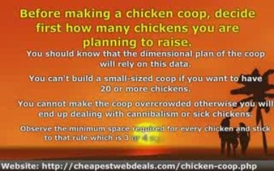 Tips For Making a Chicken Coop