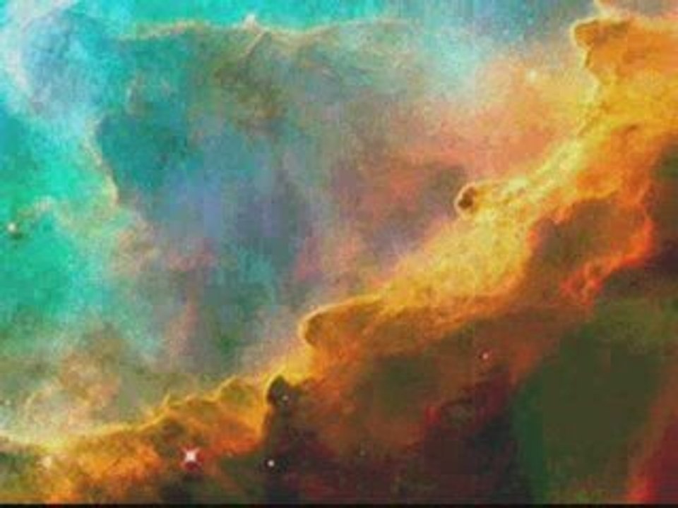 Cognition Factor : Terence Mckeena