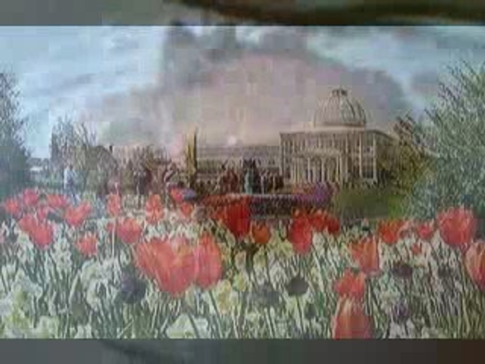 charactour visualizations feat species cruzing