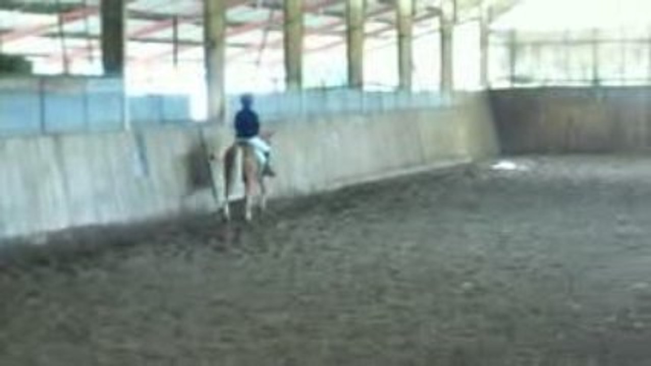 dressage cce