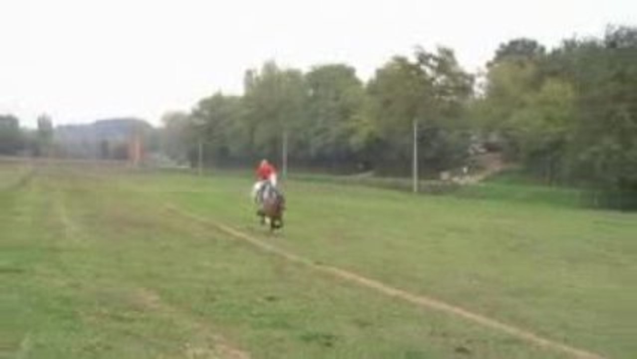 Equitation de Travail (9)