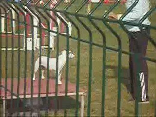 vodka open eurocopter