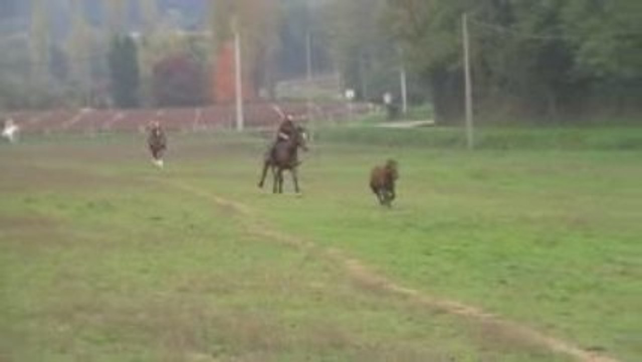 Equitation de Travail (11)