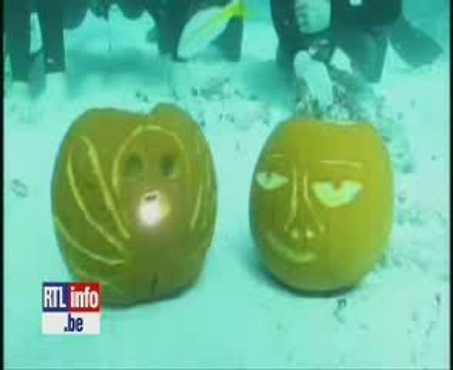 La citrouille marine