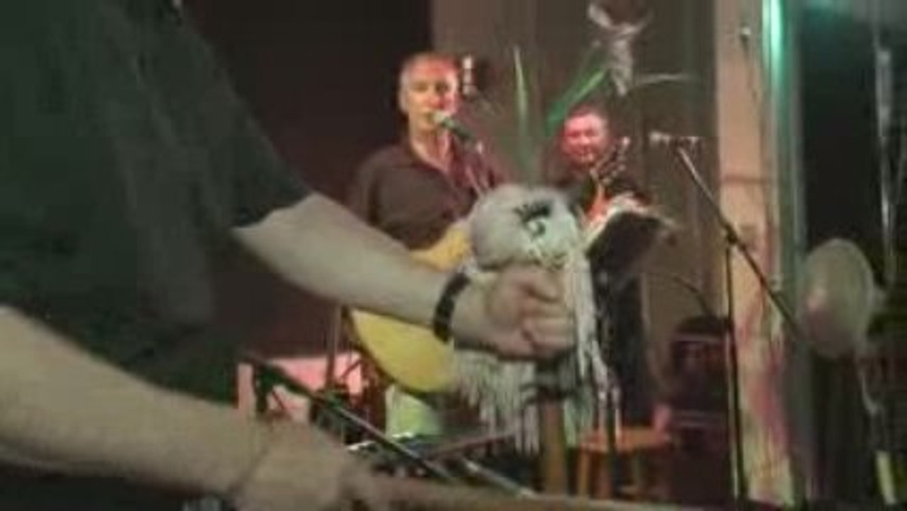 Pub Night - Newfoundland and Labrador, Canada