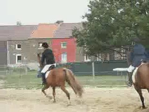 Concours aux Ecuries du Saule à Feluy