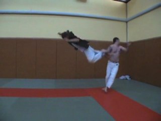 chorégraphie de combat