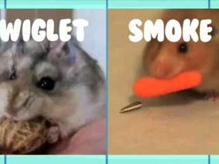 Teeny Tiny Pets - Animal Idol 008