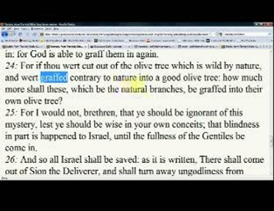 PT.13 ROMANS 11 THE OLIVE & WILD OLIVE TREE