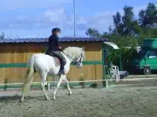 Estrella, séance de travail