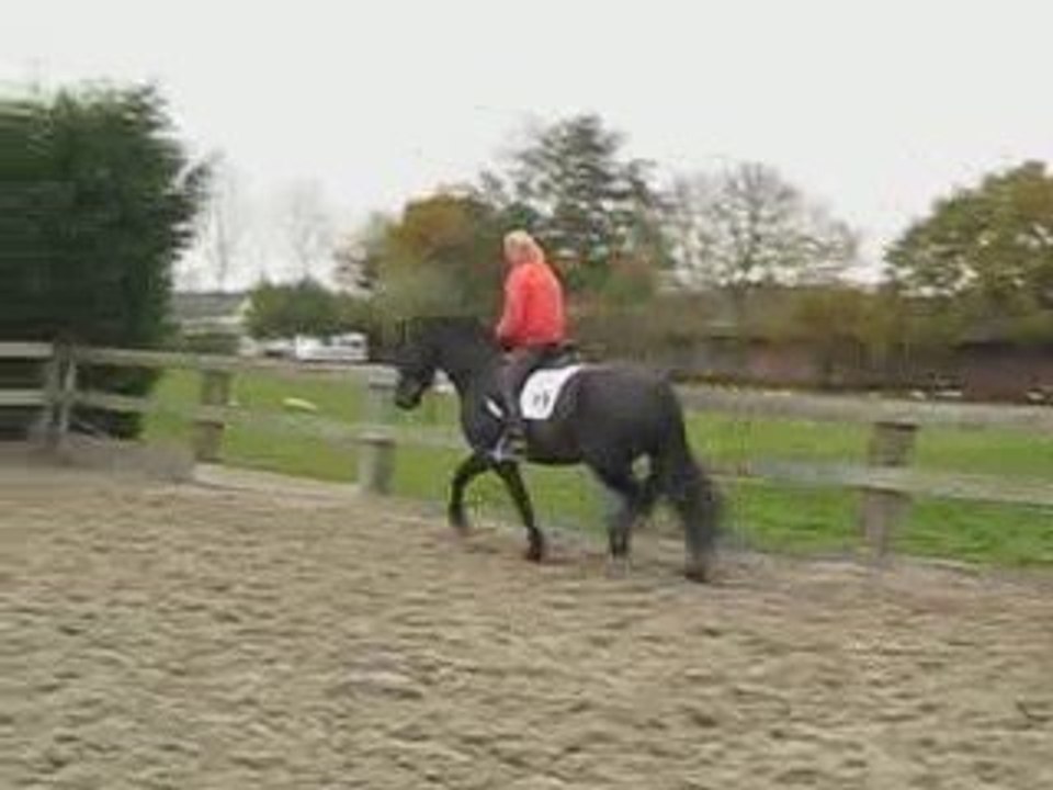 Tanja 1