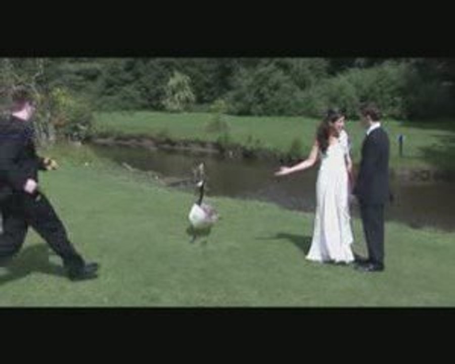 Grosse attack at wedding