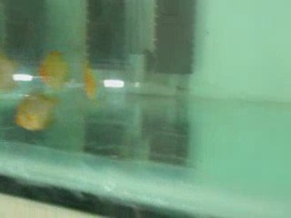 DSCN4807