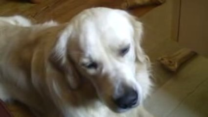 Arrête de me filmer !