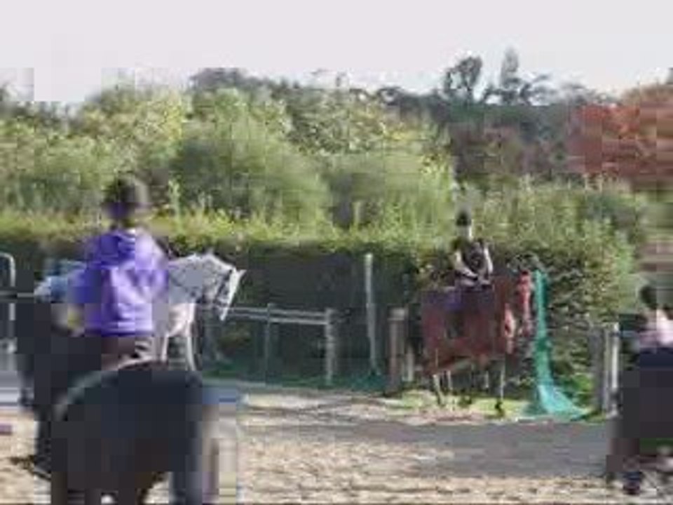 Onyx de la grezille & moi cour de plat