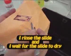 Microbiologie - Réalisation d'un frottis bactérien