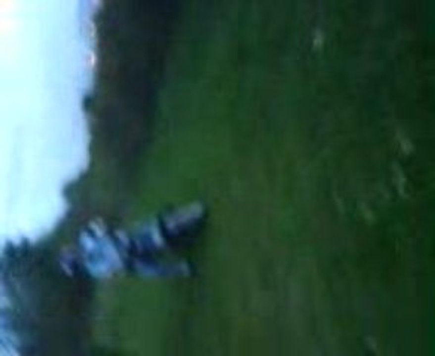 Drift arbres